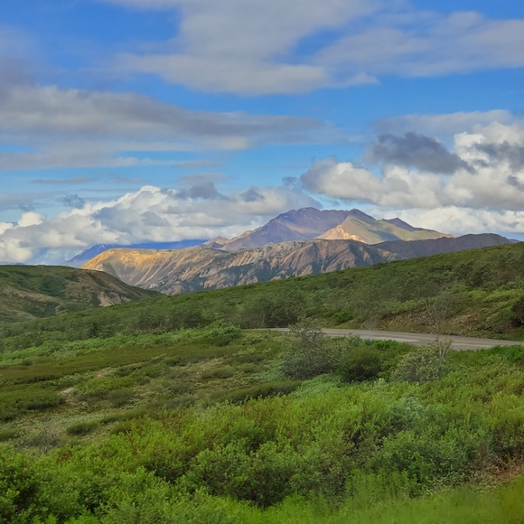 Hello! Welcome to my closet. - Picture 3 of 8